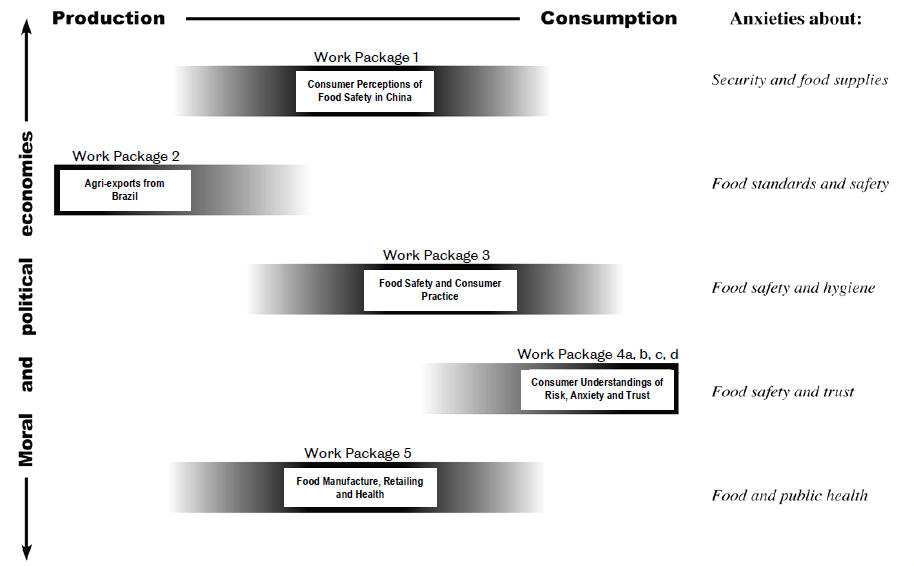 programme structure image.jpg