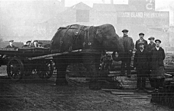 Lizzie the elephant working in the Kelham Island area of Sheffield during WWI