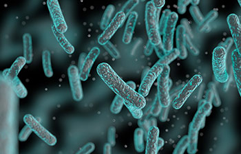 Bacteria close-up