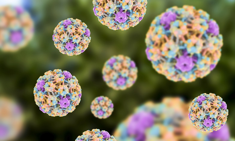 computer illustration HPV virus
