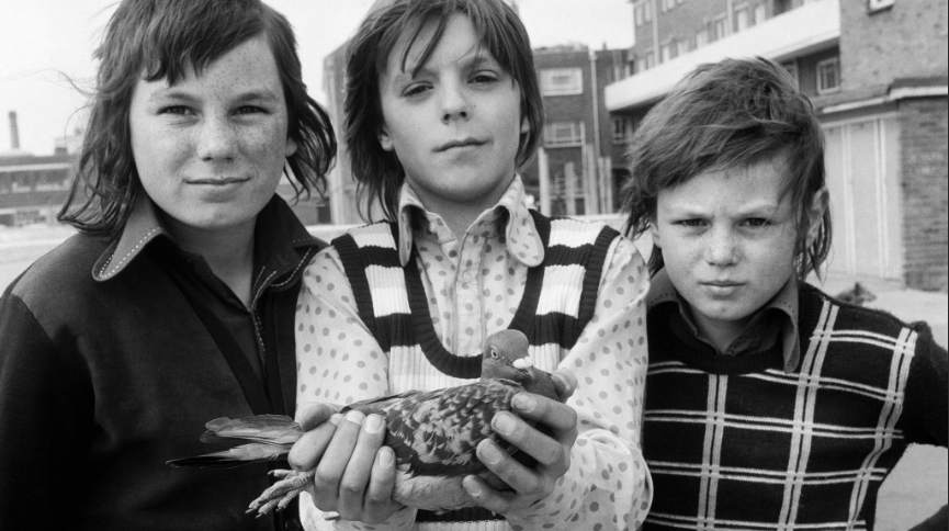Daniel Meadows National Portrait (Three Boys and a Pigeon) 1974 Courtesy the artist