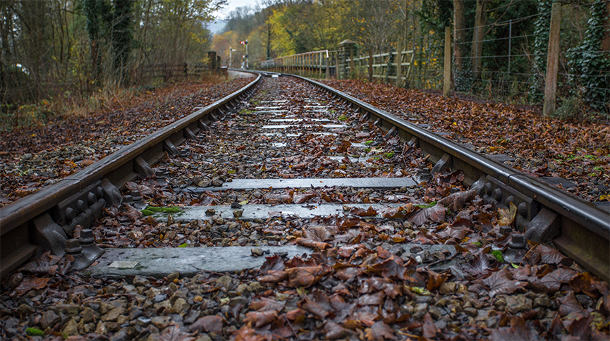 Leaves on a railway line