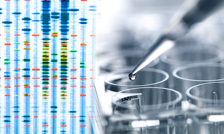 Genetic testing and DNA results