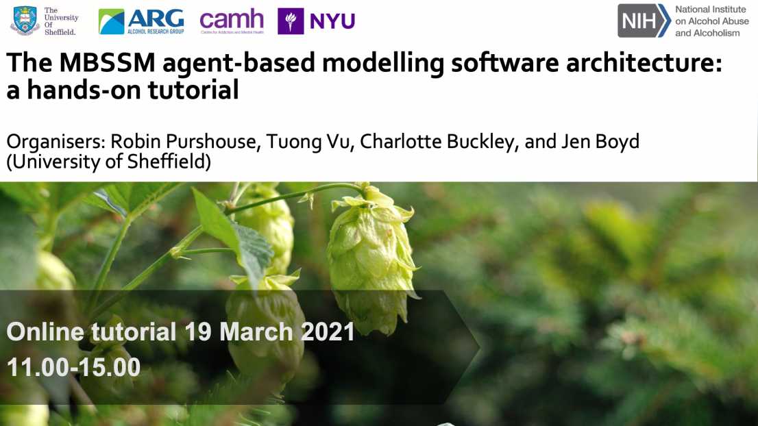 The MBSSM agent-based modelling software architecture:  a hands-on tutorial