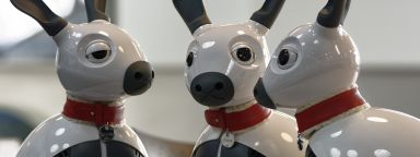 Three Miro robot dogs in a group - image