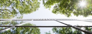 Glass-walled building reflecting trees