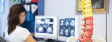 A model of a spine and a woman working at a computer in the background