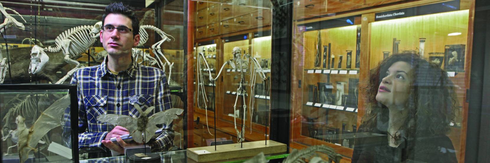 Zoology Alfred Denny Museum students