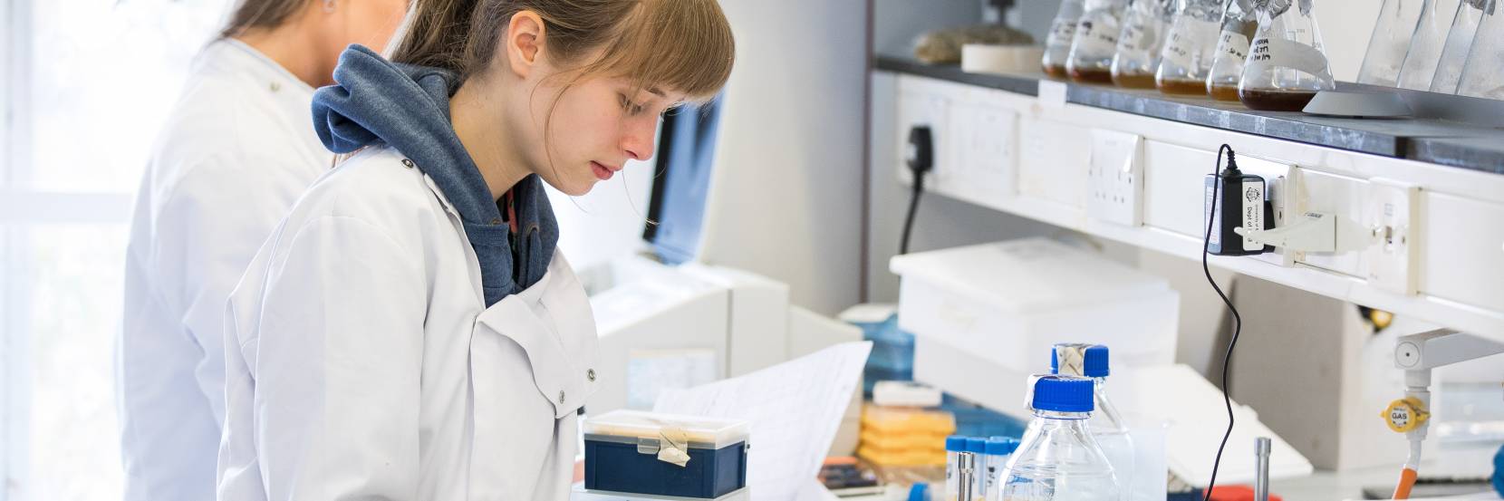 Molecular biology students in the lab