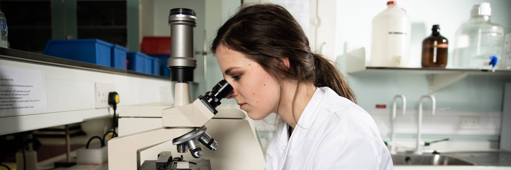 Student looks into microscope in lab