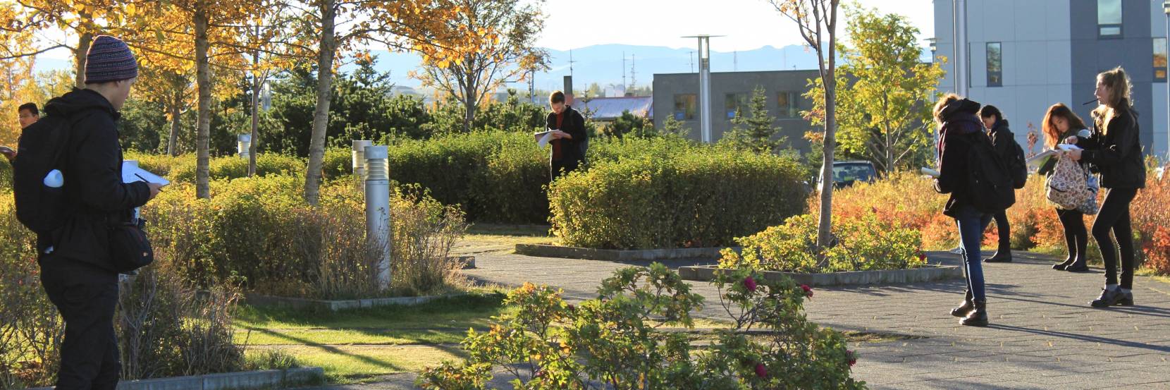 Undergraduate students sketching the landscape in Reykjavik