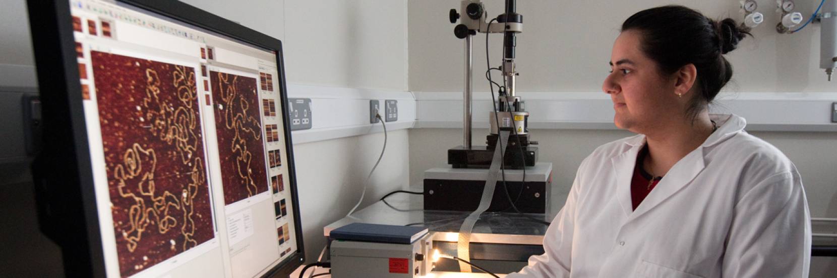 A student using an atomic force microscope
