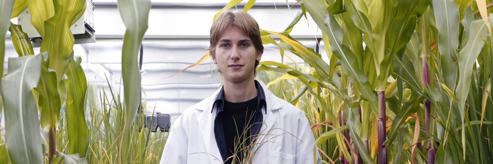 MBiolSci Plant Sciences