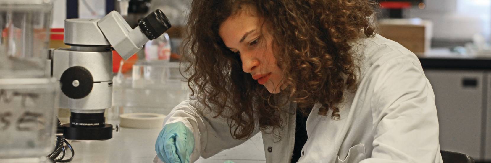 MBiolSci Zoology with Placement Year