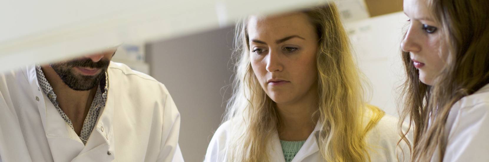 MBiolSci Biology with a Year Abroad
