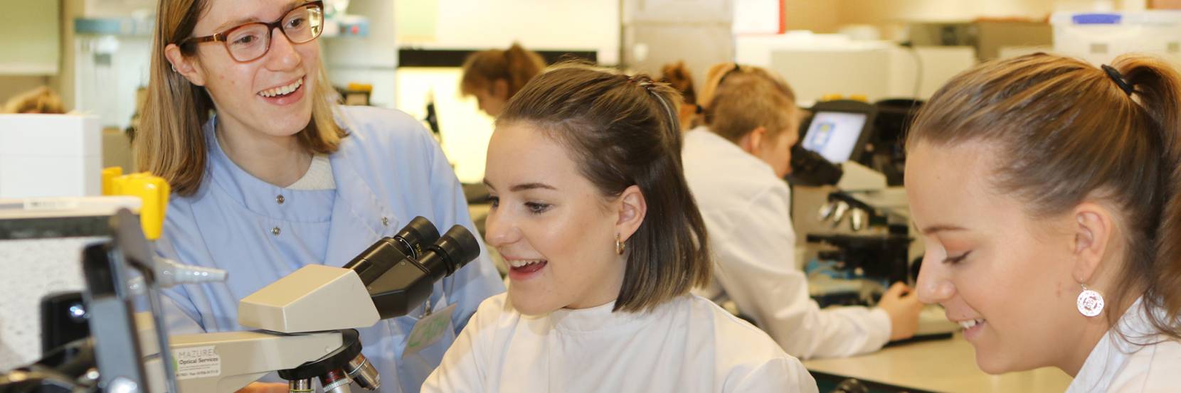 BSc Microbiology with a year in industry