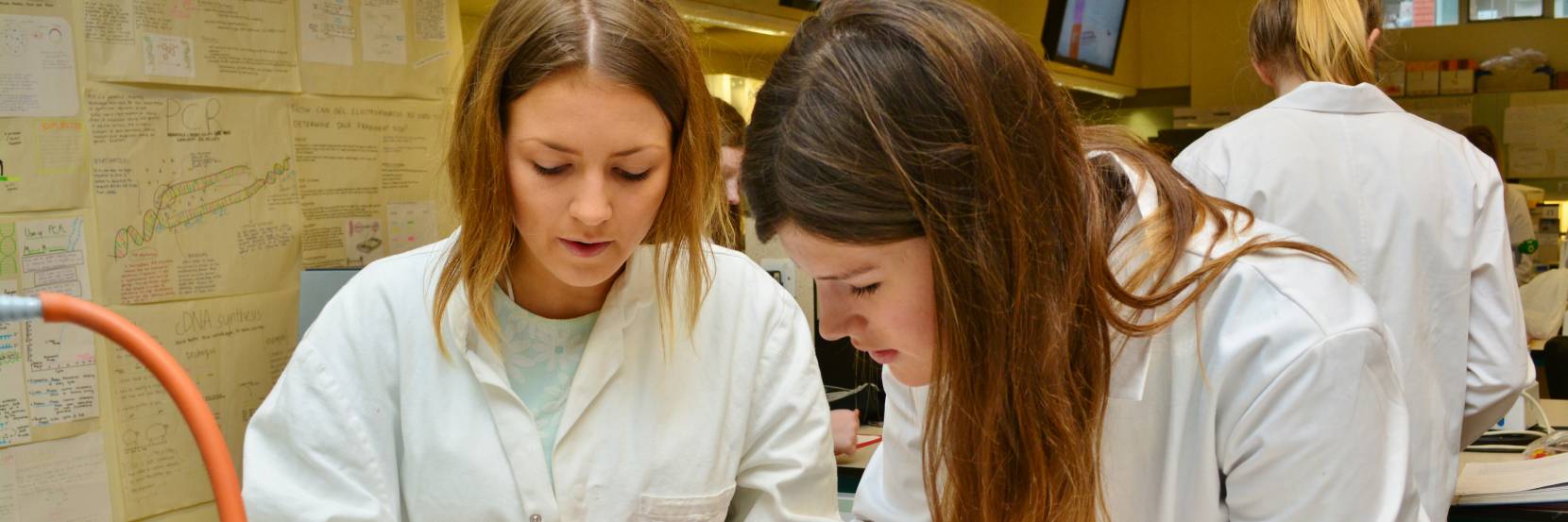 BSc Biochemistry and Microbiology