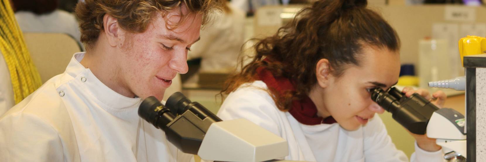 BSc Medical Microbiology