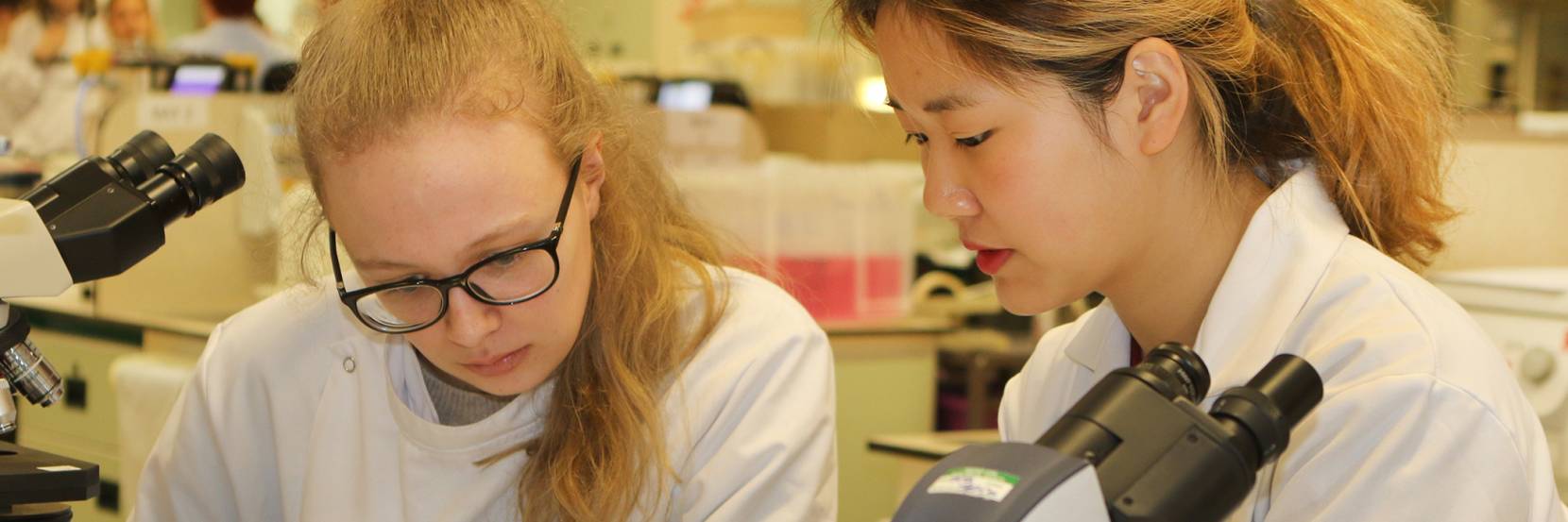 MBiolSci Microbiology