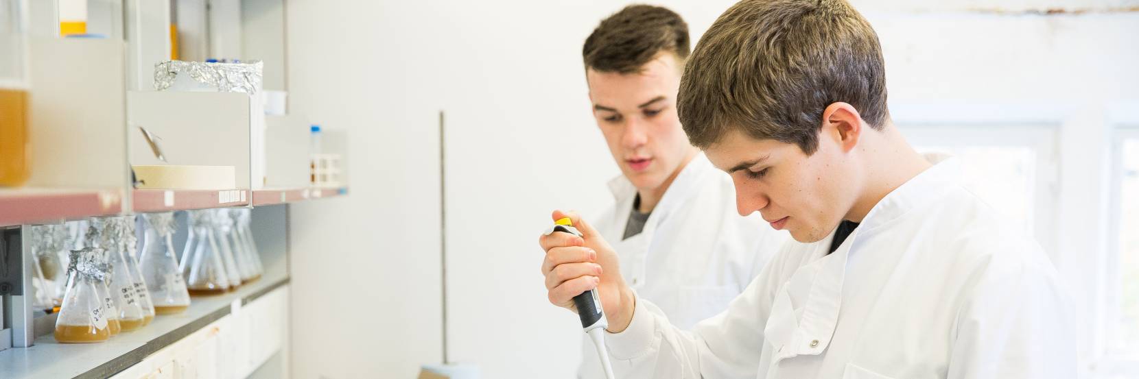 BSc Genetics with a Year in Industry
