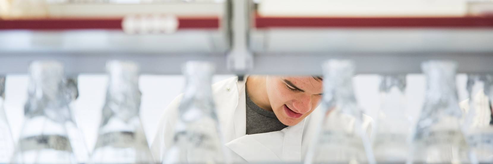 MBiolSci Biochemistry and Genetics with a year in industry