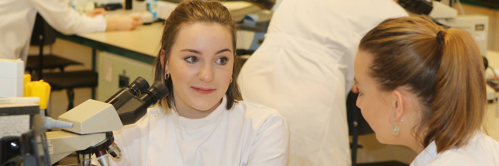 Medical Microbiology with a Year in Industry