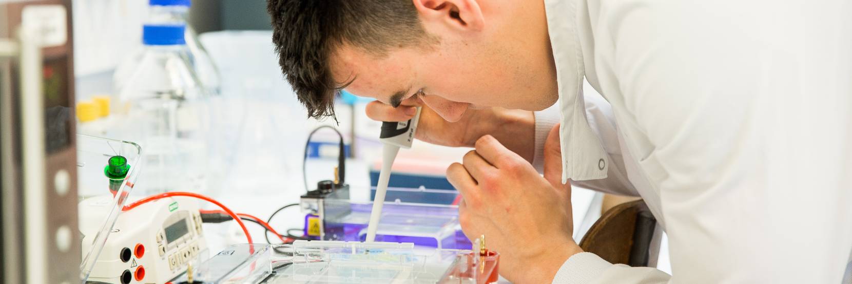MBiolSci Molecular Biology