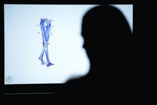 Insigneo model of human legs