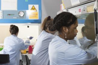 Image of postgraduate Molecular Biology and Biotechnology students using equipment in lab