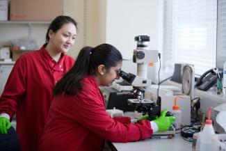 Image of two postgraduate medical students using a microscope