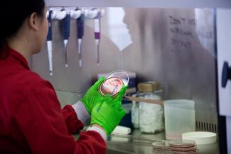 Medicine student with petri dish