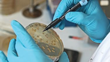 Petri dish