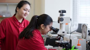 Image of two postgraduate medical students using a microscope