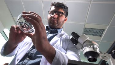 Environmental Archaeology and Palaeoeconomy postgraduate in lab