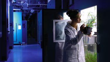 Animal and Plant Sciences student in lab