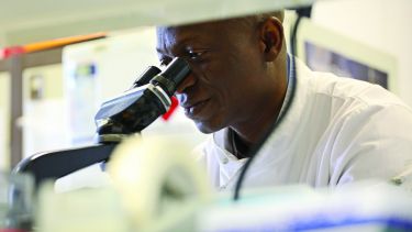 CBE student in laboratory 