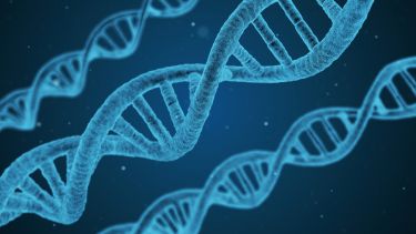 DNA strand