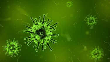 CBE bio virus