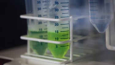 Green chemicals