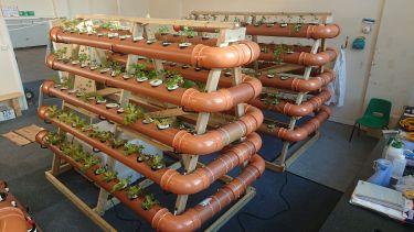 microcosm farm structure