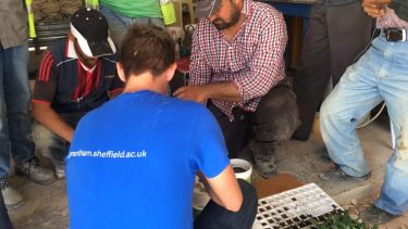 teaching refugees how to grow plants