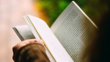 Close-up of person reading a book