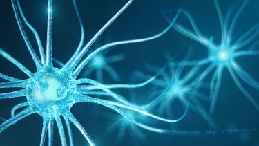 Neuroscience