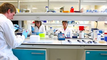 research in lab