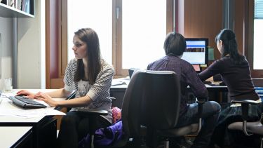 A group of PhD students work at their computers