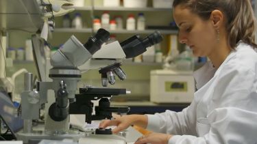 A researcher looking through a microscope.