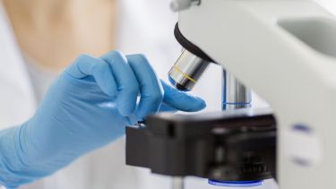 Hands using microscope