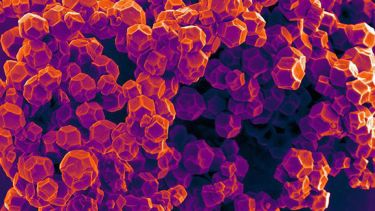 Crystalline metal-organic framework