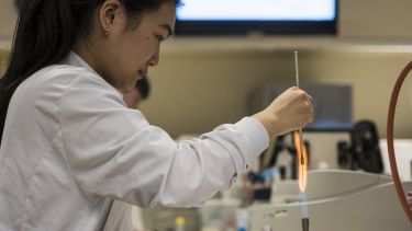 Microbiology student in the lab