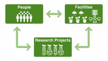 Plant production and protection: interactive triangle showing people, facilities and projects
